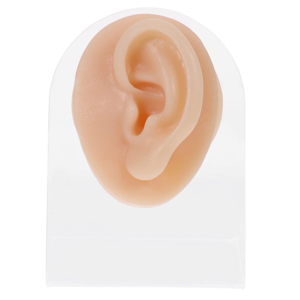 Holibanna Earring Piercing Model Stud Earrings Display Surgical Hypoallergenic for Women