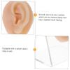 Holibanna Earring Piercing Model Stud Earrings Display Surgical Hypoallergenic for Women view 3