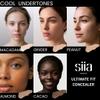 SIIA Cosmetics Ultimate Fit Concealer in C303 Peanut view 4