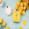SPONGELL Sweet Patchouli Boxed Flower view 3