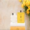 SPONGELL Sweet Patchouli Boxed Flower view 4