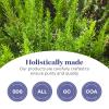Avatra 100% Pure Rosemary Oil For Hair Growth (6.7 fl oz)| Infused with Biotin, Jojoba & Castor Oil | Hair Oil Repairs Dry Damaged Hair, Strengthening, Healthier Hair view 4