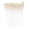 HAPINARY 100pcs Professional Makeup Supplies Lip Brush Retractable Lip Scrubber Exfoliator Brush view 1
