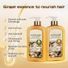 ABBASI & CO Anti-Hair Loss Shampoo & Conditioner Set  Ginger Extract Hair Growth Shampoo  Anti-Dandruff Care Formula  Oil Control & Hair Loss Treatments For women & Men  2x 800ML view 3