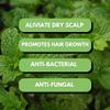 Belle's Hair Peppermint Conditioner Mask | Strengthening | Fragile Hair Treatment view 3