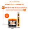 Liss Expert Hair Treatment Set, Stem Cells Express 8.45 oz (ONE shoulder hair lengh app) and Divine Oil 1.69 oz, Organic Smoothing Treatment view 2