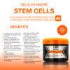 Liss Expert Hair Treatment Set, Stem Cells Express 8.45 oz (ONE shoulder hair lengh app) and Divine Oil 1.69 oz, Organic Smoothing Treatment view 3