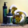 L Lorenzo Rejuvenating Shampoo 33.78fl.oz/1000ml | A highly concentrated Anti-Hair Loss Formula | Rosemary & Green Tea view 2