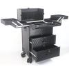 LaYaQbin Makeup Train Case Makeup Station, Makeup Organizer Beauty Rolling Case with Universal Wheels and Key Locks Portable Makeup Station Makeup Trolley Beauty Travel Suitcase Cosmetic view 1