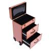 LaYaQbin Makeup Train Case Makeup Rolling Train Box, Professional Cosmetic Organiser Box, Large Cosmetic Trolley with Drawers and Locks, Cosmetic Storage Organiser for Travel(Gold) view 1