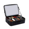 LaYaQbin Makeup Train Case Makeup Train Case with Mirror and Light 3 Color Adjustable Brightness PU Leather Professional Cosmetic Train Cases with Adjustable Dividers view 1