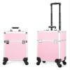 LaYaQbin Makeup Train Case Beauty Trolley Case, Makeup Trolley,Rolling Makeup Train Case, Travel Makeup Trolley, Makeup Storage Box, Beautician Suitcase, Rolling Cosmetic Case(Pink,34X24X52cm) view 1