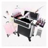 LaYaQbin Makeup Train Case Beauty Trolley Case, Makeup Trolley,Rolling Makeup Train Case, Travel Makeup Trolley, Makeup Storage Box, Beautician Suitcase, Rolling Cosmetic Case(Pink,34X24X52cm) view 2