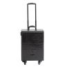 LaYaQbin Makeup Train Case Aluminium Make Up Case, Rolling Makeup Train Case, Large Storage Professional Cosmetic Trolley Makeup Travel CaseRolling Makeup Train Case with Drawers(Black 2) view 1
