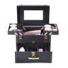 LaYaQbin Makeup Train Case Makeup Bag Cosmetic Case Portable Travel Makeup Train Case Beauty Box, with Mirror, Manicure Case, for Nail(Black With Mirror) view 1