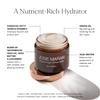 Josie Maran Whipped N' Ready to Glow Body Care Set - Includes Argan Intensive Creamy Oil, Face Cream & Body Butter - Nourishes, Hydrates & Firms Skin - Radiance-Boosting Gift Set (3 Count) view 4