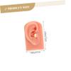Didiseaon 2pcs Realistic Silicone Ear Piercing Models Practice Piercing Ears Right for Nursing view 2