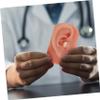 Didiseaon 2pcs Realistic Silicone Ear Piercing Models Practice Piercing Ears Right for Nursing view 3