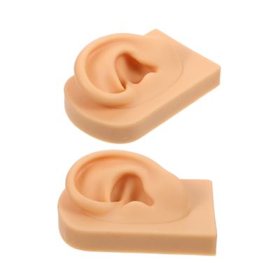 BIUDECO Jewelry Ear Display Platform Lifelike Piercing Ear Model for Student Training and Showcase