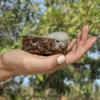 Belle's Skin - African Black Soap | Organic Skin Cleaning Agent | Premium Quality | 100% Pure & Natural | Unrefined - Grade A view 3