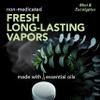 Sinucleanse Vapor Shower Steamers, All Natural Eucalyptus & Mint Aromatherapy, 12 Extra Large Vapor Shower Tablets, Relaxation and Spa Gifts for Women and Men, Made in USA view 3