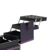 Ageanbri Professional Makeup with Mirror Train Case Rolling Cosmestic Organizer with Wheels, Keys & Mirror Large Lockable Cosmetic Trolley for Travel Makeup/Nail Art/Hair Styling (Purple) view 2