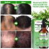 3 Pack Rosemary Oil for Hair Growth,Rosemary Hair Growth Oil,Strengthening Oil for Dry Damaged Hair,Hair Loss Treatment & Thickens Hair,Scalp Care Promotes Hair Thickness for Men Women view 3