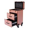 Ageanbri Professional Rolling Makeup Train Case with Drawers, Large Cosmetic Trolley with Locks, Cosmetics Storage Organizer Make up Case for Travel Makeup/Nail Art/Hair Styling (gold) view 1