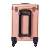 Ageanbri Professional Rolling Makeup Train Case with Drawers, Large Cosmetic Trolley with Locks, Cosmetics Storage Organizer Make up Case for Travel Makeup/Nail Art/Hair Styling (gold) view 3