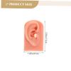 BIUDECO 2pcs Practice Piercing Silicone Human Ear Models Professional Training Supplies Realistic Ear Tunnels view 2