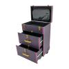 Ageanbri Rolling Makeup Case with Drawers&4 Wheel, Cosmetic Case Trolley, Make Up Suitcase Cosmetic Trolley, Portable Multifunction Makeup Suitcase (Copper Clasp Purple) view 1