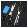 6 Inch Golden Dragon Handle Barber Scissors, Hairdressing & Thinning Shears, Professional Stainless Steel Beauty Scissors for Hair Salon, Home & Pet Grooming view 1