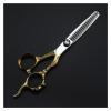 6 Inch Golden Dragon Handle Barber Scissors, Hairdressing & Thinning Shears, Professional Stainless Steel Beauty Scissors for Hair Salon, Home & Pet Grooming view 2