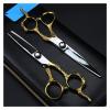 6 Inch Golden Dragon Handle Barber Scissors, Hairdressing & Thinning Shears, Professional Stainless Steel Beauty Scissors for Hair Salon, Home & Pet Grooming view 4