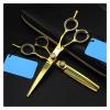 6 Inch Golden Hair Cutting Scissors Set, Professional Barber Shears, Thinning & Flat Scissors for Hairdressing, Pet Grooming, Ergonomic Design Hair Cutting Kit(5.5 Inch Thinning) view 2