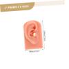 Healeved 2pcs Silicone Simulation Ear Models for Piercing Practice Realistic Dummy Ears for Training Deep Skin Tone Reusable Soft Silicone Material for Students and Professionals view 2