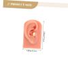 minkissy 2pcs Silicone Ear Piercing Models for Practice Realistic Training Ear Dummies for Students Professionals High-simulation Soft Models Teaching Supplies for Piercing Techniques view 2