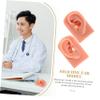 minkissy 2pcs Silicone Ear Piercing Models for Practice Realistic Training Ear Dummies for Students Professionals High-simulation Soft Models Teaching Supplies for Piercing Techniques view 3