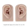 Fockety Reusable Silicone Ear Model, Flexible Human Skin Ear Piercing Training Props, Compact &, Suitable for Acupuncture, Novices, and Beauty Training Institutes (Dark Skin Tone) view 4