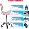 JAVPTAV Saddle Stool Rolling Chair with Back Support Adjustable Height Esthetician Seat w/Wheels for Dental Office Massage Hospital view 3