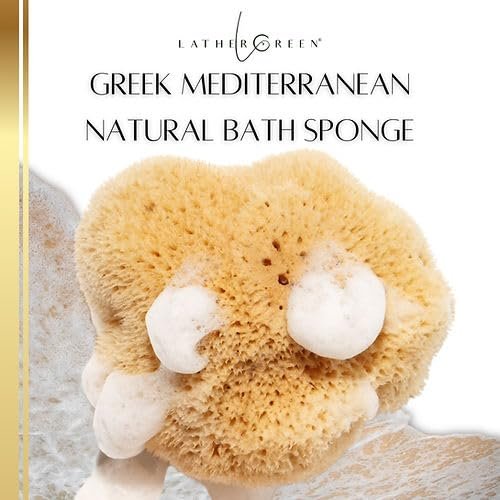 LATHER GREEN - Large Natural Sea Sponge for Bath & Shower | Luxuriously Soft & Exfoliating Body Scrubber | Unbleached & Plastic-Free | Long-Lasting & Eco-Friendly for a Spa-Like Experience