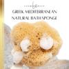 LATHER GREEN - Large Natural Sea Sponge for Bath & Shower | Luxuriously Soft & Exfoliating Body Scrubber | Unbleached & Plastic-Free | Long-Lasting & Eco-Friendly for a Spa-Like Experience view 1