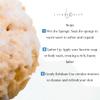 LATHER GREEN - Large Natural Sea Sponge for Bath & Shower | Luxuriously Soft & Exfoliating Body Scrubber | Unbleached & Plastic-Free | Long-Lasting & Eco-Friendly for a Spa-Like Experience view 3