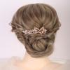 Aimimier Dainty Crystal Flower Hair Comb Sparkly Rhinestone Inlaid Hair Piece Long Teeth Side Combs Wedding Hair Accessories for Women (Champagne) view 2