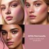bayfree Multi Cream Blush & Blush Brush Set, Korean Makeup Blush for Cheeks, Multi-Use Face Balm, Lightweight & Hydrating, Blendable Color, Non-Greasy, Soft Bristles for Radiant Finish (Pink Camellia) view 4