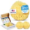 Baby Buddy Natural Bath Sponge, Ultra-Soft Sea Wool, Gentle on Baby's Skin, Hypoallergenic, Biodegradable, 3-Pack, 4in for Baby & Infant Bath Time view 1