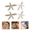 SOESFOUFU 4pcs Delicate Star Hair Clips Elegant Hair Barrettes for Women Bridal Accessories and Styling Shine Brightly Occasion view 3