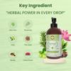 Annoor Ayurvedic Herbal Shampoo | Sulfate, Paraben & Silicone-Free | Plant-Based Vegan Formula with Amla, Reetha, Shikakai & 25 Herbs | Reduces Hair Fall | Soothes Itchy Scalp | Color-Safe 16 oz view 2