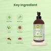 Annoor Ayurvedic Herbal Shampoo | Sulfate, Paraben & Silicone-Free | Plant-Based Vegan Formula with Amla, Reetha, Shikakai & 25 Herbs | Reduces Hair Fall | Soothes Itchy Scalp | Color-Safe 16 oz view 3