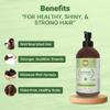 Annoor Ayurvedic Herbal Shampoo | Sulfate, Paraben & Silicone-Free | Plant-Based Vegan Formula with Amla, Reetha, Shikakai & 25 Herbs | Reduces Hair Fall | Soothes Itchy Scalp | Color-Safe 16 oz view 4